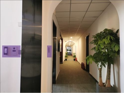 酒店設(shè)計(jì) 工裝設(shè)計(jì) 建筑裝飾工程智能化設(shè)計(jì)所